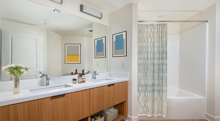 GS_VRV_Ph_I_One_Bed_Master_Bath3-a5be6f4c7efea8c9e5a0765e6fb39fcd